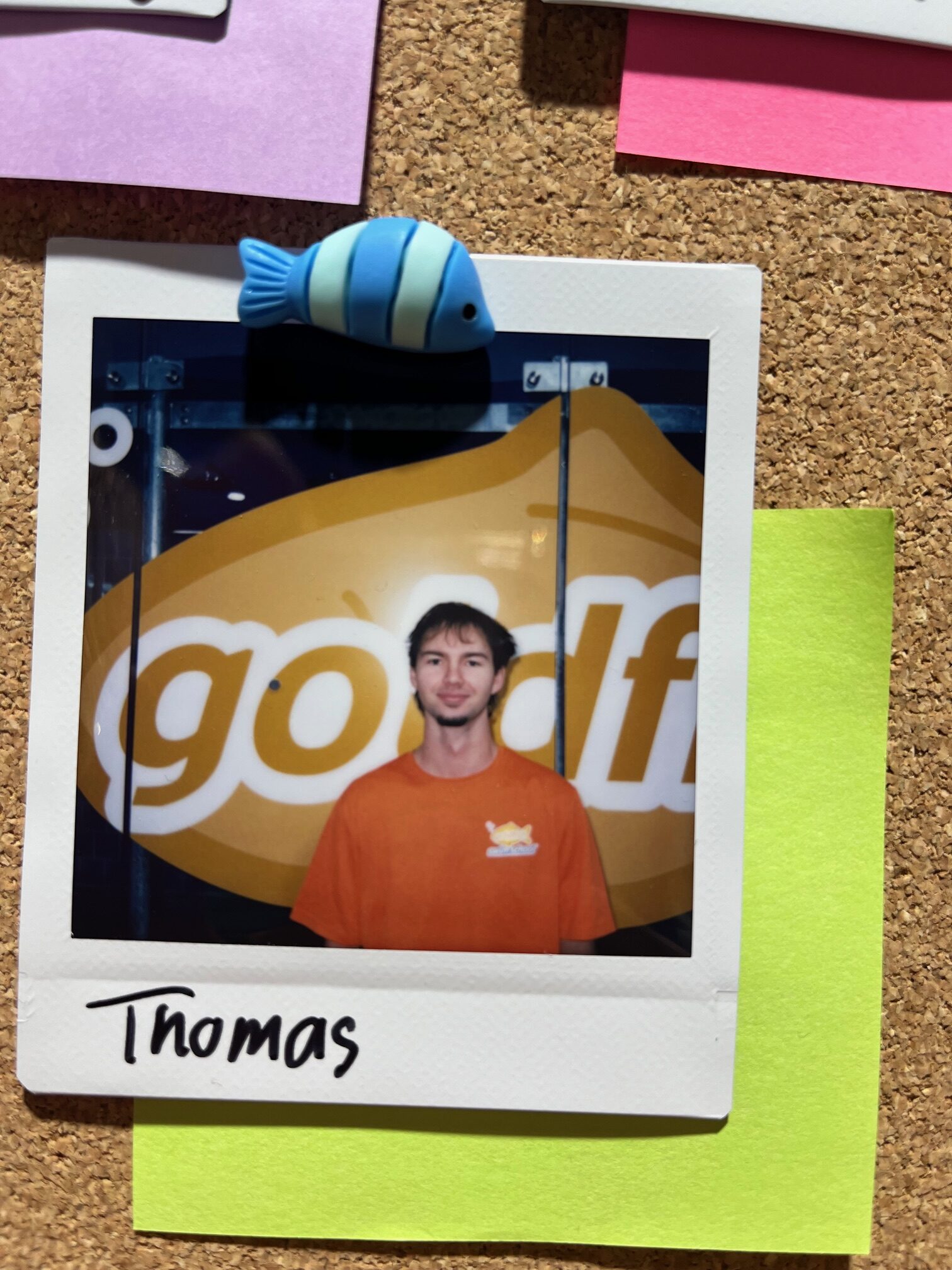 Tim